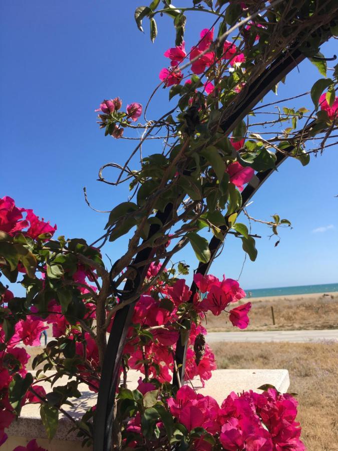 Beach Flat With Garden Castelldefels Dış mekan fotoğraf